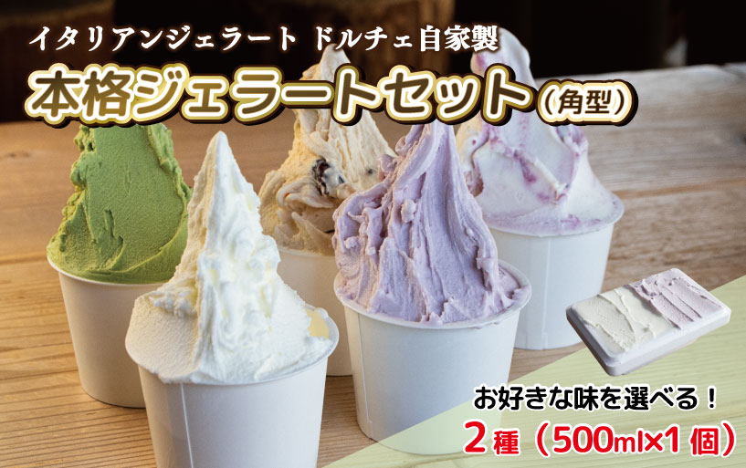 ジェラート イタリアンジェラート 500ml 選べるフレーバー 2種