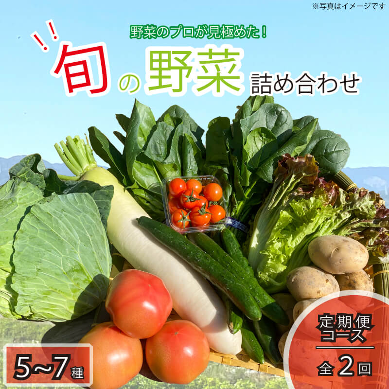 野菜 お楽しみ 5~7品目 年2回 定期便 詰め合わせ セット 
