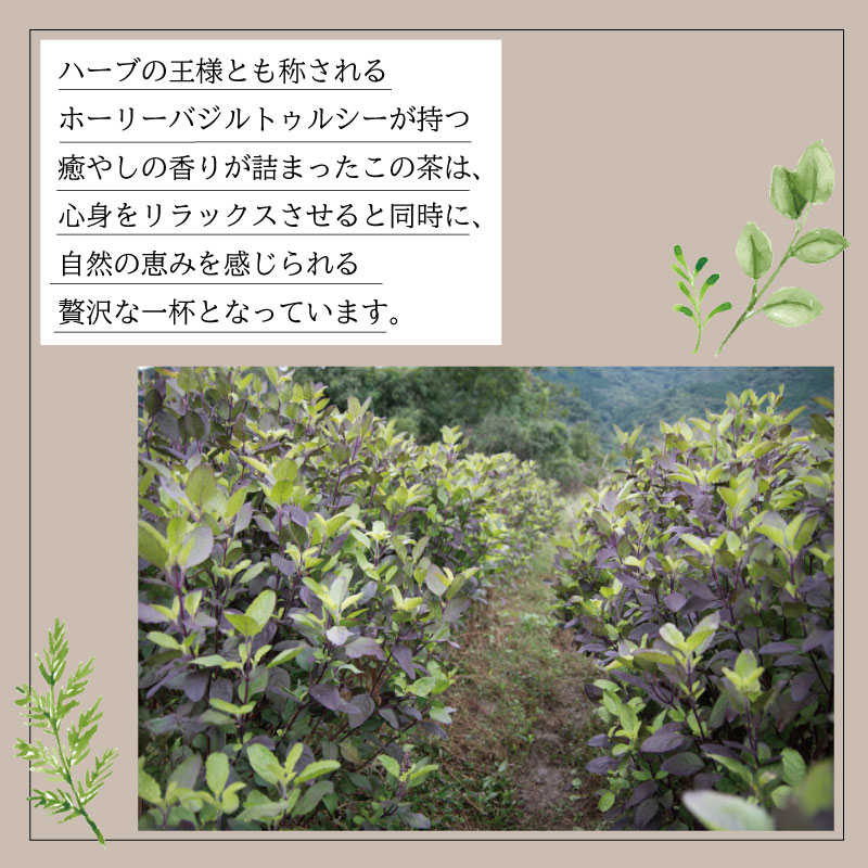 ブレンド茶 バジル茶 ホーリーバジル茶 2種 セット ハーブティ 徳島県 阿波市 ハナサカーラ 