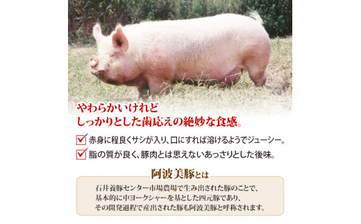 国産 豚肉 ギフトセット 無塩せき ソーセージ ウインナー ロースハム ボンレスハム ベーコン 豚 ぶた 豚肉 おかず おつまみ 惣菜 ワイン ビール ハイボール 日本酒 ウイスキー 酒 焼酎 阿波美豚 ブランド 冷凍 送料無料 徳島県 阿波市 リーベフラウ