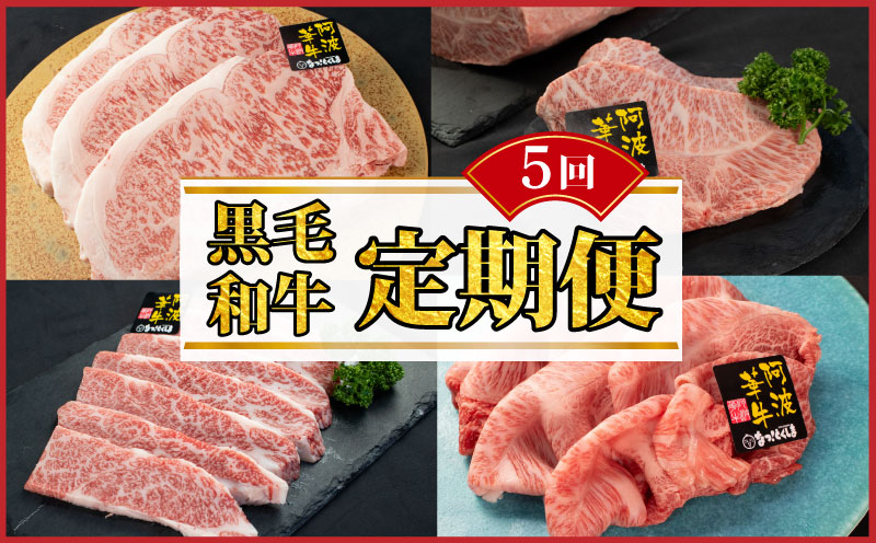 黒毛和牛 牛肉 定期便 5回 ロース サーロインステーキ A5等級 阿波華牛 和牛 ぎゅうにく 牛 ぎゅう うし 肉 ビーフ 赤身 ロース すき焼き すきやき しゃぶしゃぶ 焼肉 BBQ アウトドア キャンプ お取り寄せ 惣菜 おつまみ 弁当 日用 冷凍 送料無料