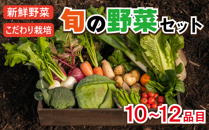 自然で作った野菜詰め合わせセット 10〜12品目 