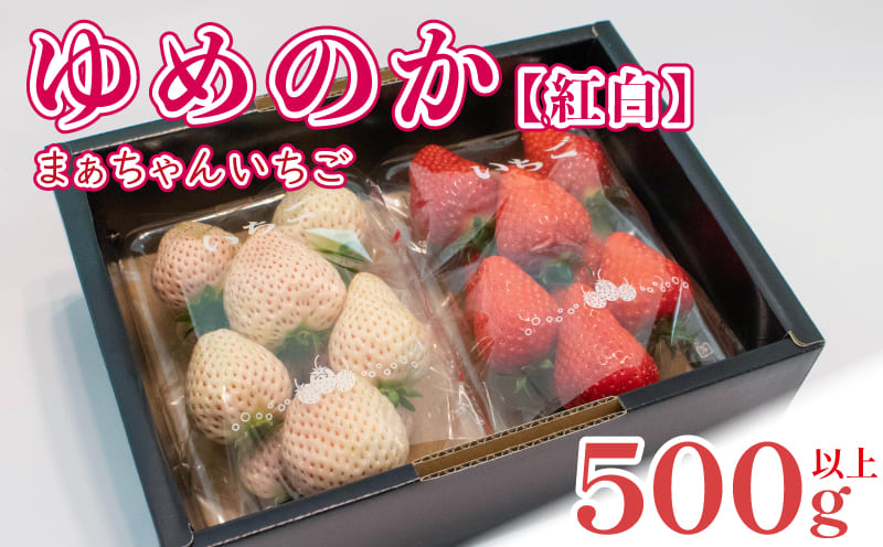 紅白 いちご 果物 フルーツ ゆめのか ストロベリー スイーツ 阿波市 徳島県