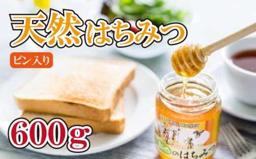 はちみつ 国産 無添加 天然 600g 純度100% 瓶入り 阿波市産 影山養蜂研究所