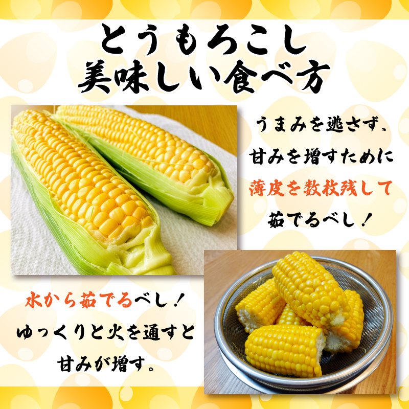 とうもろこし 朝どり 5kg スイートコーン 甘い おおもの 先行予約 《 2025年6月～順次発送 》 おおもの  大粒 コーン サラダ 野菜 やさい 新鮮 サラダ 醤油 バター 砂糖 焼き肉 焼肉 バーベキュー BBQ キャンプ アウトドア 天ぷら スープ コーンスープ徳島県 阿波市