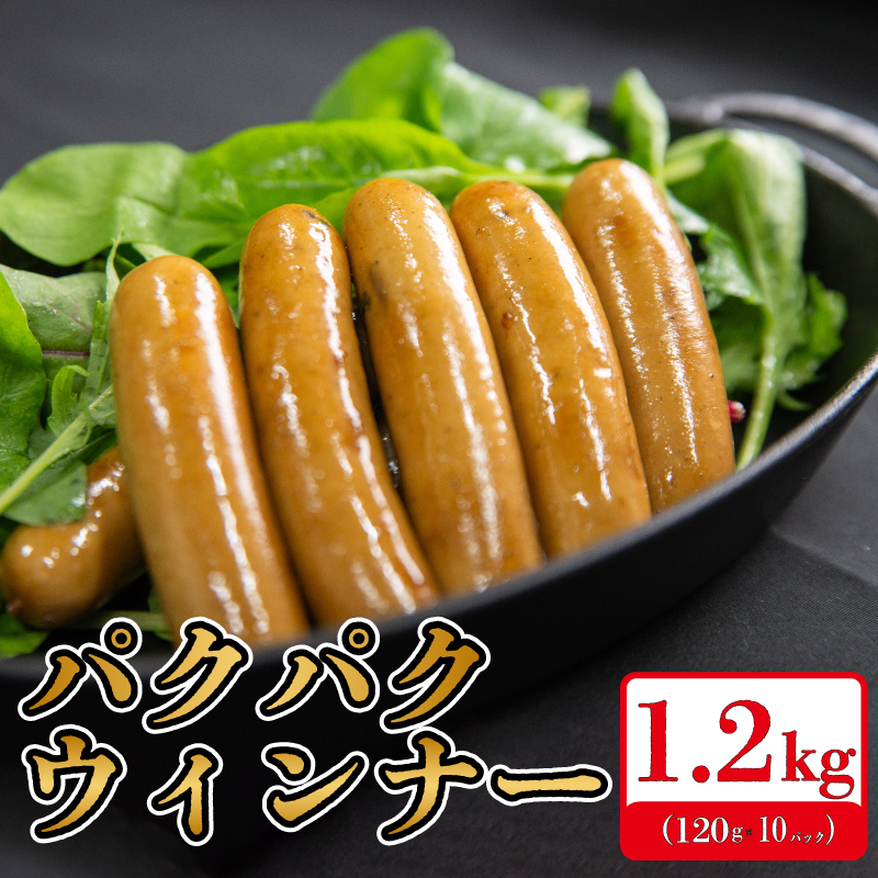 国産 豚肉 ソーセージ  ウインナー  120g 10p 1200g 阿波美豚 リーベフラウ