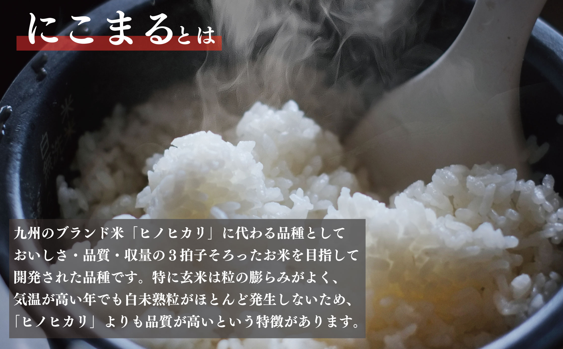 新米 玄米 約10kg 約10キロ お米 栽培期間中農薬不使用 にこまる 安心 安全 こだわり栽培 ビタミン ミネラル 食物繊維