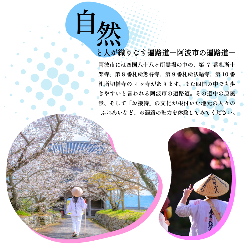 和菓子 カステラ とら巻き 10本 白あん 保存料不使用 ギフト 贈答品 菓匠村上 徳島県 阿波市