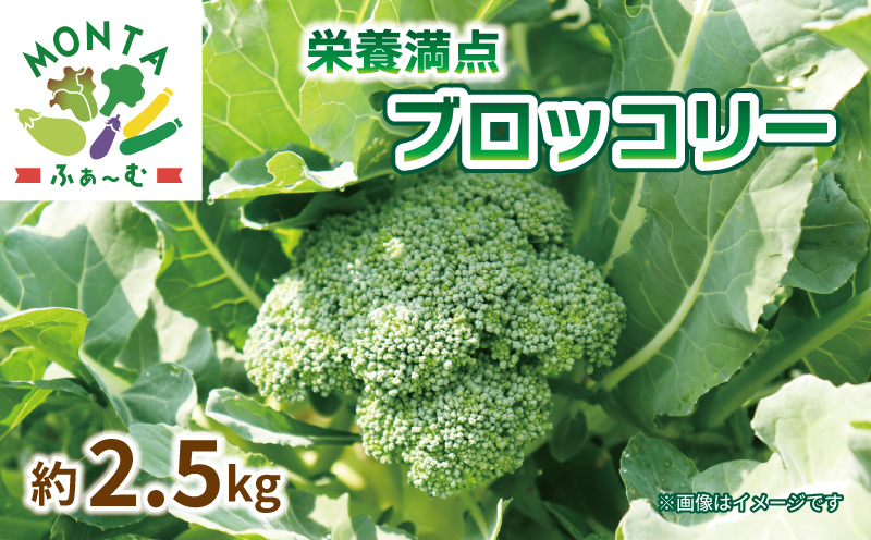 野菜 ブロッコリー 約 2.5kg 朝どれ 産地直送 徳島県 阿波市