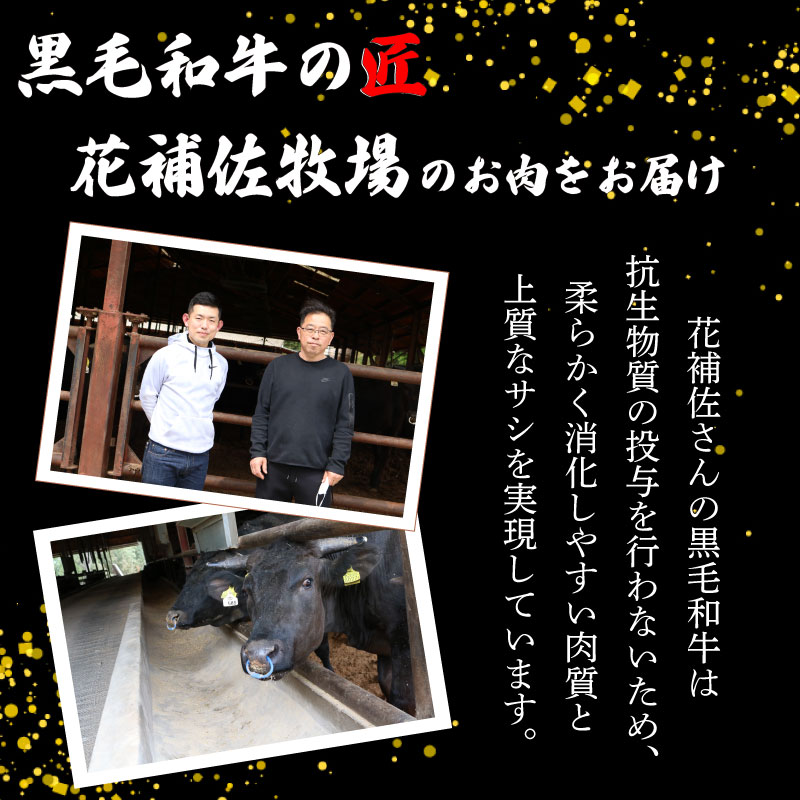 牛肉 黒毛和牛 切り落とし 500g A5等級 阿波華牛 和牛 牛肉 ぎゅうにく 牛 ぎゅう うし 肉 ビーフ 赤身 ロース 肩 モモ すき焼き すきやき しゃぶしゃぶ 焼肉 牛丼 カレー シチュー BBQ アウトドア キャンプ ギフト プレゼント 贈答 お取り寄せ グルメ おかず 惣菜 おつまみ 弁当 日用 冷凍 小分け 送料無料 徳島県 阿波市 肉の北海徳島県阿波市