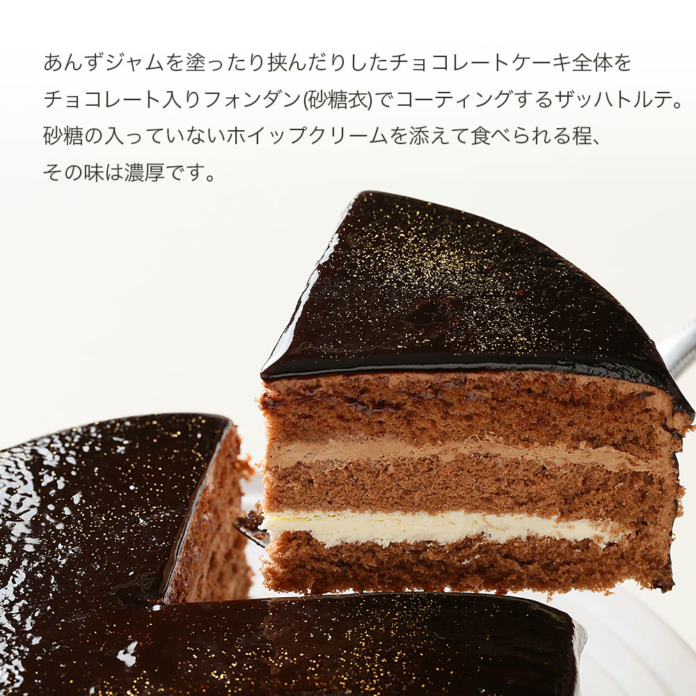 クリスマスケーキ ザッハトルテ 5号 4～6名用 冷凍 チョコレート チョコ デザート スイーツ 洋菓子 ケーキ ショコラ モンブラン シュークリーム プリン エクレア お菓子 おやつ ギフト 贈答 プレゼント カスタードクリーム 卵 砂糖 小麦粉 牛乳 バター 冷凍 送料無料 徳島県 阿波市 CAKE EXPRESS