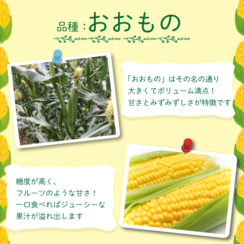 とうもろこし 朝どり 5kg スイートコーン 甘い おおもの 先行予約 《 2025年6月～順次発送 》 おおもの  大粒 コーン サラダ 野菜 やさい 新鮮 サラダ 醤油 バター 砂糖 焼き肉 焼肉 バーベキュー BBQ キャンプ アウトドア 天ぷら スープ コーンスープ徳島県 阿波市