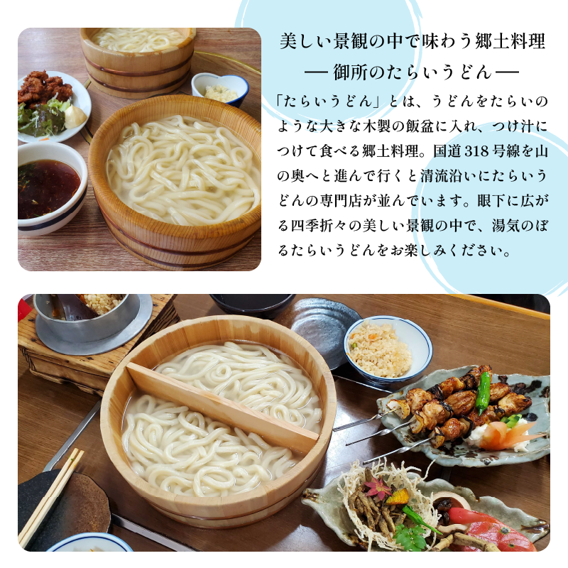 和菓子 カステラ とら巻き 10本 白あん 保存料不使用 ギフト 贈答品 菓匠村上 徳島県 阿波市