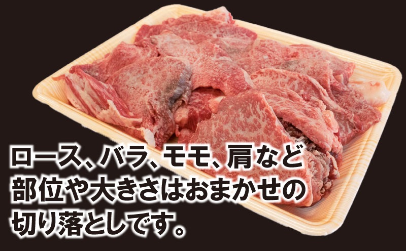 牛肉 黒毛和牛 切り落とし 500g A5等級 阿波華牛 和牛 牛肉 ぎゅうにく 牛 ぎゅう うし 肉 ビーフ 赤身 ロース 肩 モモ すき焼き すきやき しゃぶしゃぶ 焼肉 牛丼 カレー シチュー BBQ アウトドア キャンプ ギフト プレゼント 贈答 お取り寄せ グルメ おかず 惣菜 おつまみ 弁当 日用 冷凍 小分け 送料無料 徳島県 阿波市 肉の北海徳島県阿波市