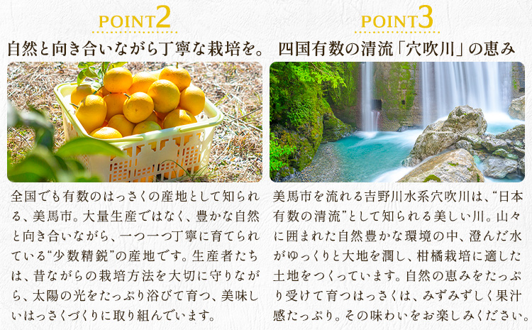 八朔 はっさく ご家庭用 サイズ不選別 9kg《2月上旬-2月下旬頃出荷》八朔 柑橘 果物 フルーツ 訳あり 規格外 傷あり 徳島県 美馬市 送料無料
