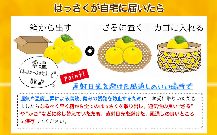 八朔 はっさく ご家庭用 サイズ不選別 9kg《2月上旬-2月下旬頃出荷》八朔 柑橘 果物 フルーツ 訳あり 規格外 傷あり 徳島県 美馬市 送料無料