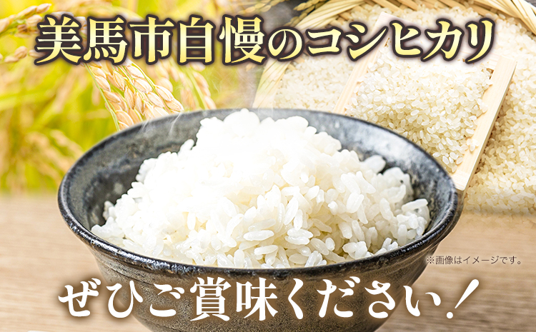 米 5kg コシヒカリ《9月上旬-8月末頃出荷》精米5kg 美馬市産 アグリサポート美馬 コシヒカリ 米 白米 白米5kg 精米 送料無料 徳島県 美馬市
