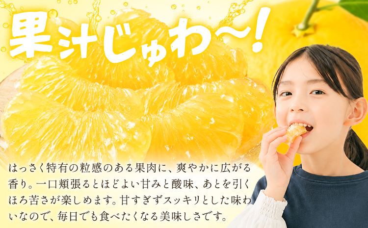 å
«æ ã¯ã£ãã èš³ãã ãµã€ãºäžéžå¥ 9kg ã2027幎2æäžæ¬-2æäžæ¬é åºè·ãå
«æ ææ© æç© ãã«ãŒã ææ©é¡ èŠæ Œå€ å·ãã éæç¡æ 埳島ç çŸéЬåž