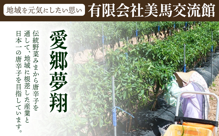 激辛薬味みまから 5袋 90g×5袋 有限会社美馬交流館《30日以内に出荷予定(土日祝除く)》徳島県 美馬市 みまから 漬物 つけもの 送料無料