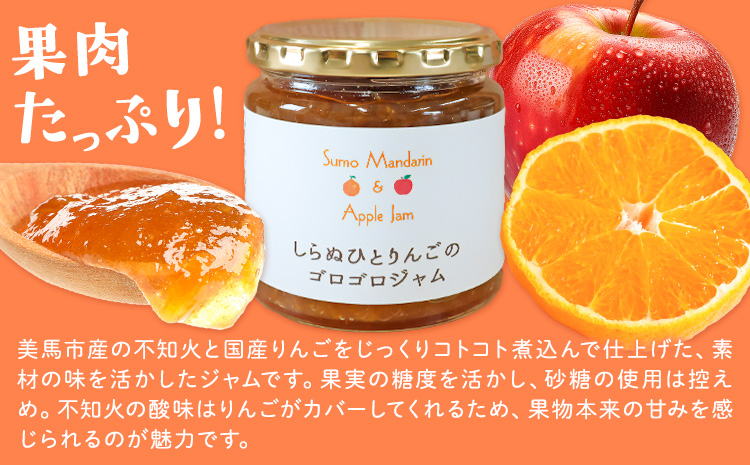 ジャム フルーツ 不知火 りんご しらぬひとりんごのゴロゴロジャム 3個 (1個250g) 有限会社美馬交流館《30日以内に出荷予定(土日祝除く)》徳島県 美馬市 送料無料 ジャム 果物 果肉 ごろごろ たっぷり みかん リンゴ しらぬい デコポン