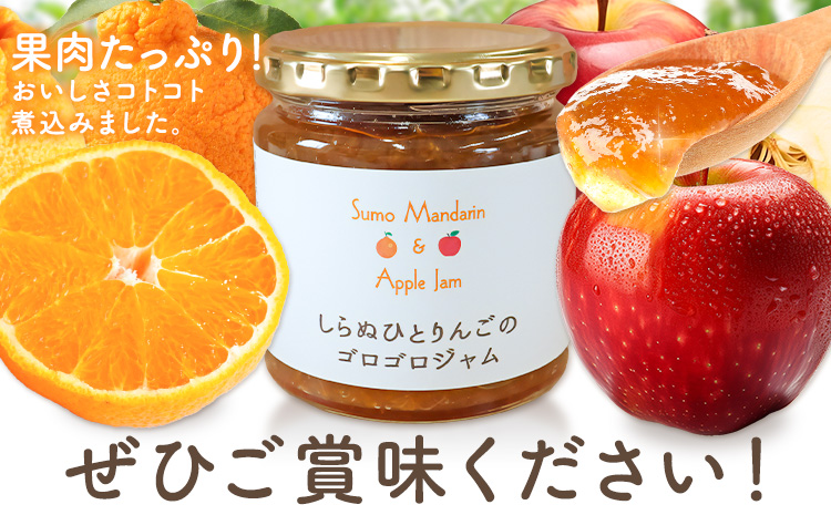 ジャム フルーツ 不知火 りんご しらぬひとりんごのゴロゴロジャム 3個 (1個250g) 有限会社美馬交流館《30日以内に出荷予定(土日祝除く)》徳島県 美馬市 送料無料 ジャム 果物 果肉 ごろごろ たっぷり みかん リンゴ しらぬい デコポン
