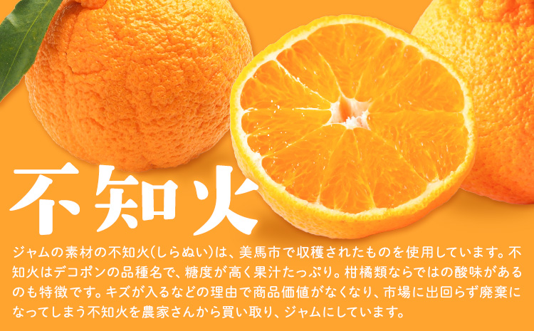ジャム フルーツ 不知火 りんご しらぬひとりんごのゴロゴロジャム 3個 (1個250g) 有限会社美馬交流館《30日以内に出荷予定(土日祝除く)》徳島県 美馬市 送料無料 ジャム 果物 果肉 ごろごろ たっぷり みかん リンゴ しらぬい デコポン