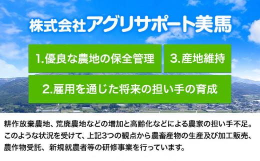 米 5kg コシヒカリ《9月上旬-8月末頃出荷》精米5kg 美馬市産 アグリサポート美馬 コシヒカリ 米 白米 白米5kg 精米 送料無料 徳島県 美馬市