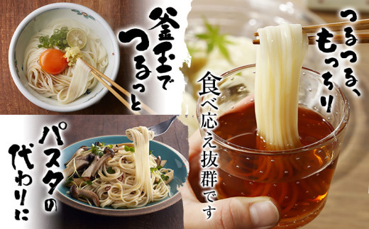 半田そうめん「オカベの麺」 1束90g 13束 《2026年7月発送》徳島県 美馬市 株式会社オカベ 半田そうめん オカベの麺 素麺 乾麺 送料無料 めんつゆ無し