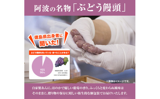 ぶどう饅頭 25本 (5本入り5袋) 《30日以内に出荷予定(土日祝除く)》有限会社日乃出本店 徳島県 阿波 ブドウ 饅頭 飴 ミルク 自家製あん 老舗 和菓子 剣山 穴吹川 贈り物 衛生的 個包装 環境保護 品質保持 st-p
