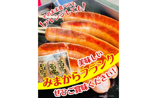 みまからフランク 540g(90g×6本) 《30日以内に出荷予定(土日祝除く)》一般社団法人美馬観光ビューロー徳島県 美馬市 みまから 特産品 美馬市産 青唐辛子 お鍋 ソーセージ フランクフルト ブランド豚肉 阿波美豚 st-p