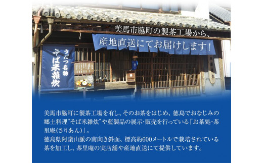 水出し煎茶 100g(10g×10個)  3袋 お茶処茶里庵 さりあん《90日以内に出荷予定(土日祝除く)》徳島県 美馬市 お茶 茶 緑茶 日本茶 煎茶 深蒸し煎茶 深蒸し 水出し ティーバッグ ティーパック