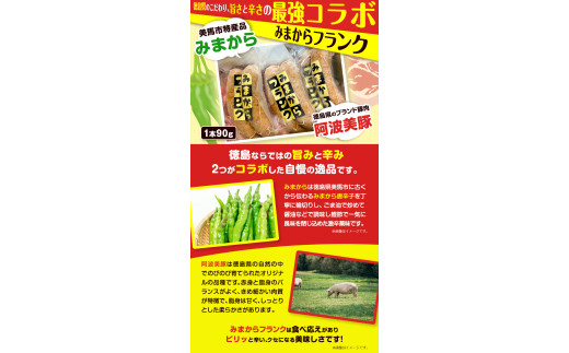 みまからフランク 720g(90g×8本) 《30日以内に出荷予定(土日祝除く)》一般社団法人美馬観光ビューロー 徳島県 美馬市 みまから 特産品 美馬市産 青唐辛子 お鍋 ソーセージ フランクフルト ブランド豚肉 阿波美豚 送料無料 st-p