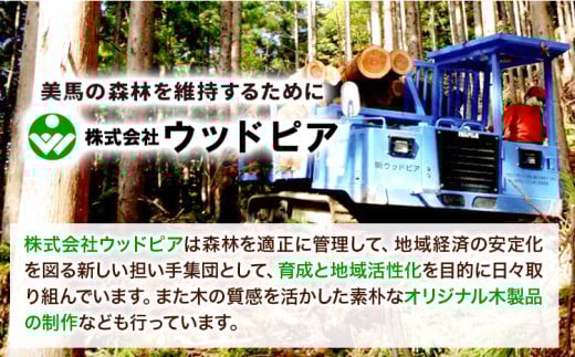 木のイヤリング らせん状 株式会社ウッドピア 《30日以内出荷(土日祝除く)》 アクセサリー ピアス イヤリング ファッション 木製 レターパック 送料無料 徳島県 美馬市