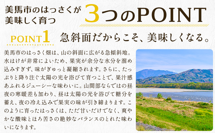八朔 はっさく ご家庭用 サイズ不選別 4kg《2月上旬-2月下旬頃出荷》八朔 柑橘 果物 フルーツ 訳あり 規格外 傷あり 徳島県 美馬市 送料無料