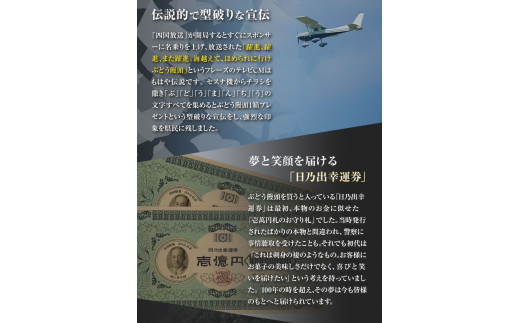 ぶどう饅頭 25本 (5本入り5袋) 《30日以内に出荷予定(土日祝除く)》有限会社日乃出本店 徳島県 阿波 ブドウ 饅頭 飴 ミルク 自家製あん 老舗 和菓子 剣山 穴吹川 贈り物 衛生的 個包装 環境保護 品質保持 st-p