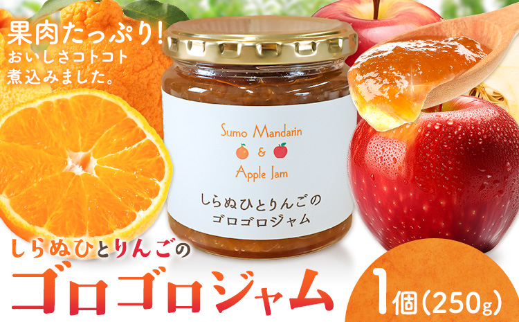 ジャム フルーツ 不知火 りんご しらぬひとりんごのゴロゴロジャム 1個 (1個250g) 有限会社美馬交流館《30日以内に出荷予定(土日祝除く)》徳島県 美馬市 送料無料 ジャム 果物 果肉 ごろごろ たっぷり みかん リンゴ しらぬい デコポン