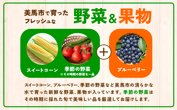 ふるさと小包詰め合わせ12月 8種セット 美馬市ふるさと小包推進協議会《12月上旬-12月下旬頃出荷》冬野菜 デザート 野菜 もち 餅 ほしいも 柿 カキ 杵つきもち そば米 黒大豆 干し芋 芋へぎ ポン菓子 愛宕柿 ゆず 季節の野菜 送料無料 徳島県 美馬市