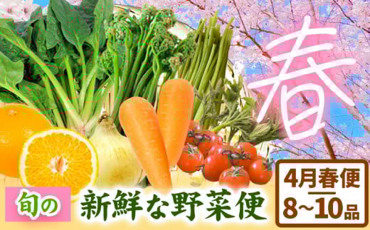 ＜先行予約＞旬の新鮮な 野菜便 4月春便 8〜10品 アグリサポート美馬《4月上旬-4月末頃出荷》春野菜 ふき わらび うど こしあぶら(山の山菜) 新玉ネギ ほうれん草 ミニトマト 人参 八朔 野菜 青果物 送料無料 徳島県 美馬市