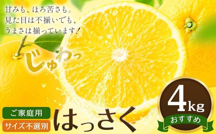 八朔 はっさく ご家庭用 サイズ不選別 4kg《2月上旬-2月下旬頃出荷》八朔 柑橘 果物 フルーツ 訳あり 規格外 傷あり 徳島県 美馬市 送料無料