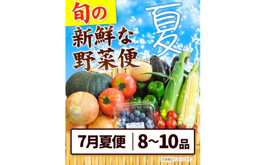 ＜先行予約＞ 旬の新鮮な 野菜便 7月夏便 8〜10品 アグリサポート美馬《7月上旬-7月末頃出荷》とうもろこし 夏野菜 じゃがいも きゅうり ブルーベリー キャベツ 茄子 玉ねぎ 豆  野菜 青果物 送料無料 徳島県 美馬市