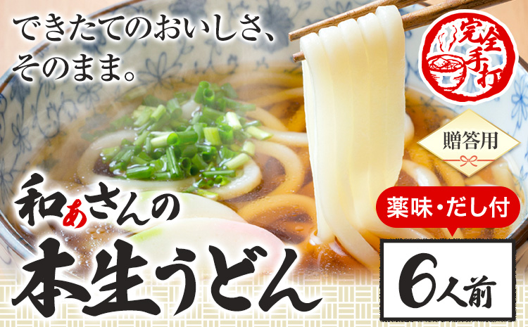 おうどんセット ６人前 《90日以内に出荷予定(土日祝除く)》和ぁさん家、株式会社栄工製作所 うどん 麺 生麺 生うどん 本格 手作り 和食 ご家庭用 こだわり お手軽 ギフト セット 薬味 だし付き 徳島県 美馬市 st-p