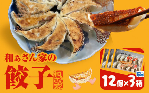 餃子 和ぁさん家の餃子3個セット 36個 和ぁさん家 株式会社栄工製作所 《30日以内に出荷予定(土日祝除く)》冷凍食品 餃子 ご家庭用 お手軽 ギフト セット 徳島県 美馬市 st-p