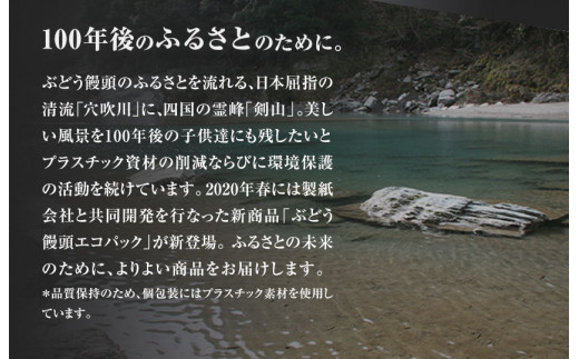 ぶどう饅頭 25本 (5本入り5袋) 《30日以内に出荷予定(土日祝除く)》有限会社日乃出本店 徳島県 阿波 ブドウ 饅頭 飴 ミルク 自家製あん 老舗 和菓子 剣山 穴吹川 贈り物 衛生的 個包装 環境保護 品質保持 st-p