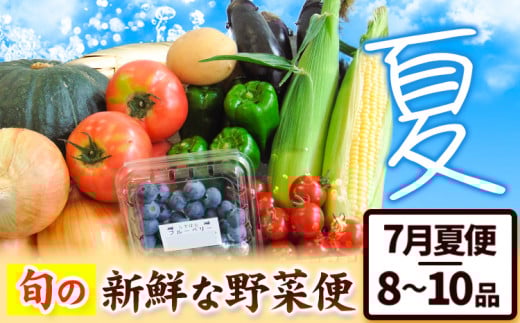 ＜先行予約＞ 旬の新鮮な 野菜便 7月夏便 8〜10品 アグリサポート美馬《7月上旬-7月末頃出荷》とうもろこし 夏野菜 じゃがいも きゅうり ブルーベリー キャベツ 茄子 玉ねぎ 豆  野菜 青果物 送料無料 徳島県 美馬市