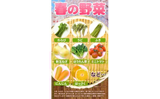 シ懷郁。御コ育エシ樊流縺ョ譁ー魄ョ縺ェ 驥手除萓ソ 4譛域丼萓ソ 8縲10蜩 繧「繧ー繝ェ繧オ繝昴シ繝育セ朱ヲャ縲4譛井ク頑流-4譛域忰鬆蜃コ闕キ縲区丼驥手除 縺オ縺 繧上i縺ウ 縺縺ゥ 縺薙@縺ゅカ繧(螻ア縺ョ螻ア闖) 譁ー邇峨ロ繧ョ 縺サ縺繧後s闕 繝溘ル繝医槭ヨ 莠コ蜿 蜈ォ譛 驥手除 髱呈棡迚ゥ 騾∵侭辟。譁 蠕ウ蟲カ逵 鄒朱ヲャ蟶
