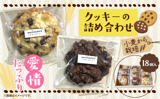 クッキーの詰め合わせ 選べる 内容量 18個入り 美馬市産 実森ラボラトリー株式会社 自家製小麦のお店mimori《30日以内に発送予定(土日祝除く)》送料無料 徳島県 美馬市 お菓子 クッキー 小麦 チョコこども 子供 スイーツ おやつ