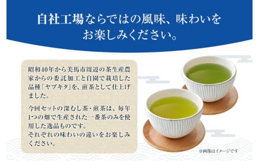 深むし茶と煎茶お試し詰合せセット 計6袋 (各50g) 深むし茶3袋 煎茶3袋 チャック付き小袋入り お茶処茶里庵 さりあん《90日以内に出荷予定(土日祝除く)》徳島県 美馬市 お茶 茶 緑茶 日本茶 煎茶 ヤブキタ 深蒸し茶 詰合せ セット