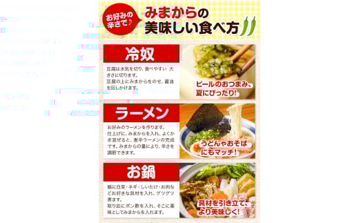 薬味 みまから 激辛セット 《30日以内に出荷予定(土日祝除く)》工房ロマン 徳島県 美馬市 みまから 特産品 美馬市産 青唐辛子 唐辛子 冷奴 ラーメン お鍋 薬味みまから うまからみそ ちりめんみそ 焼肉たれ激辛
