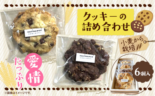 クッキーの詰め合わせ 選べる 内容量 6個入り 美馬市産 実森ラボラトリー株式会社 自家製小麦のお店mimori《30日以内に発送予定(土日祝除く)》送料無料 徳島県 美馬市 お菓子 クッキー 小麦 チョコこども 子供 スイーツ おやつ