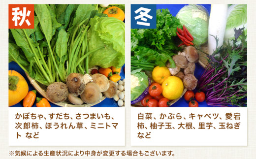 æ¬ã®æ°é®®ãª éè䟿 å®æäŸ¿ èš4åãå±ã å8ã10å ã¢ã°ãªãµããŒãçŸéŠ¬ãæ¬¡ã·ãŒãºã³ããåºè·ãæ¥å€ç§å¬ 宿 éè éæç© ãåãå¯ã éæç¡æ 埳島ç çŸéЬåž